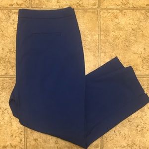 Dalia Pants - EUC plus size woman’s ankle pants Dalia Pants - EUC plus size woman’s ankle pants